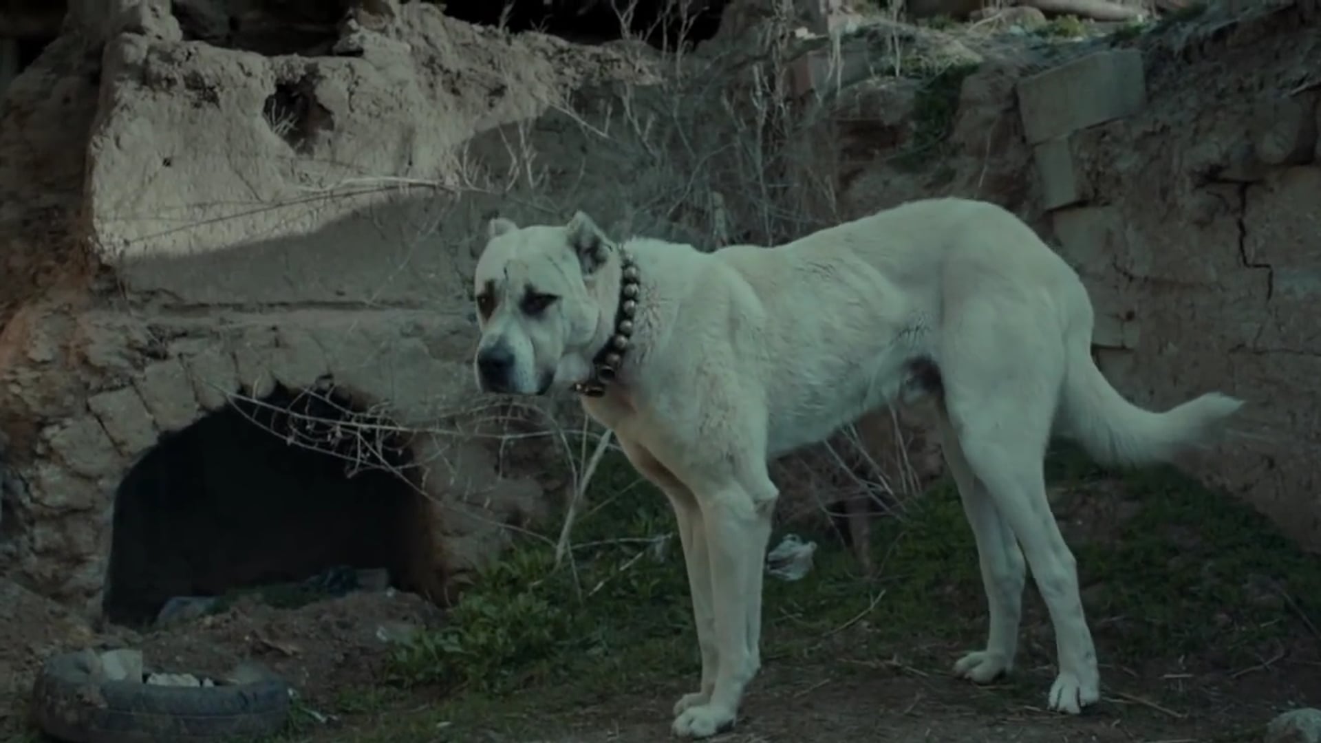 SIVAS Official Trailer (2014)