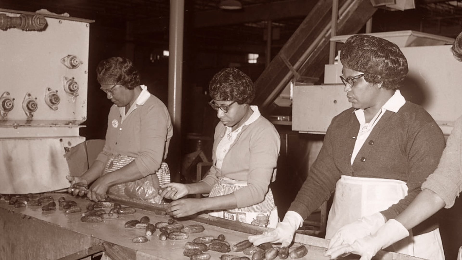 The Way We Worked: Reflections from Kent County