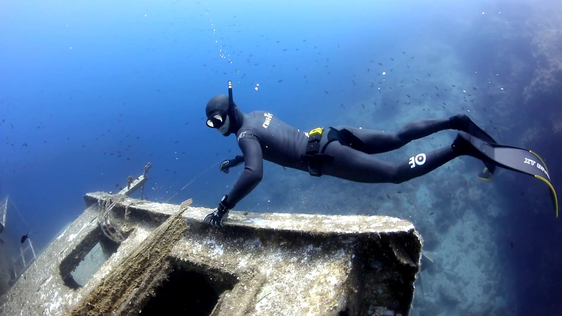 #myBlye #dolphinmanfilm - Alexis Duvivier ENG