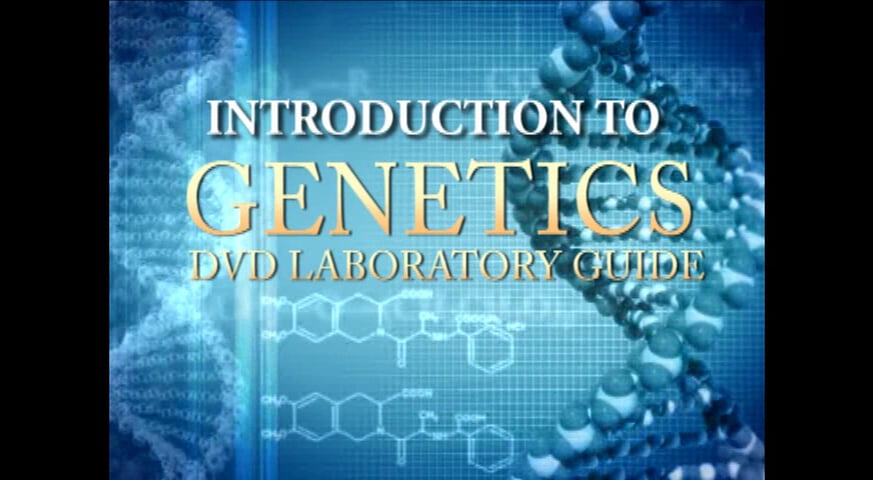 Watch INTRODUCTION TO GENETICS LABORATORY: DVD GUIDE Online | Vimeo On ...