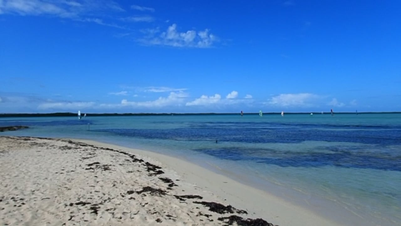 WINDSURFERS ON LAC BONAIRE