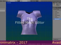 Character Creation Part 3: The Fitted mesh editor