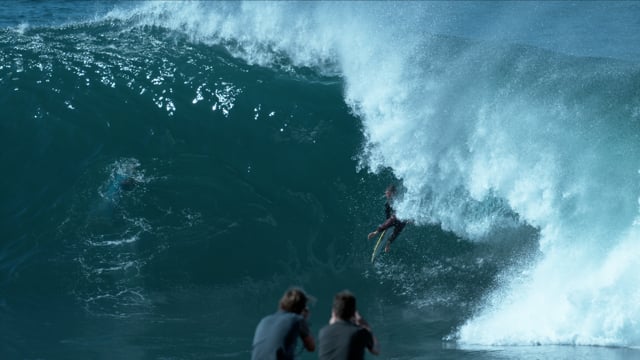 Sweet Solander from Tim Bonython