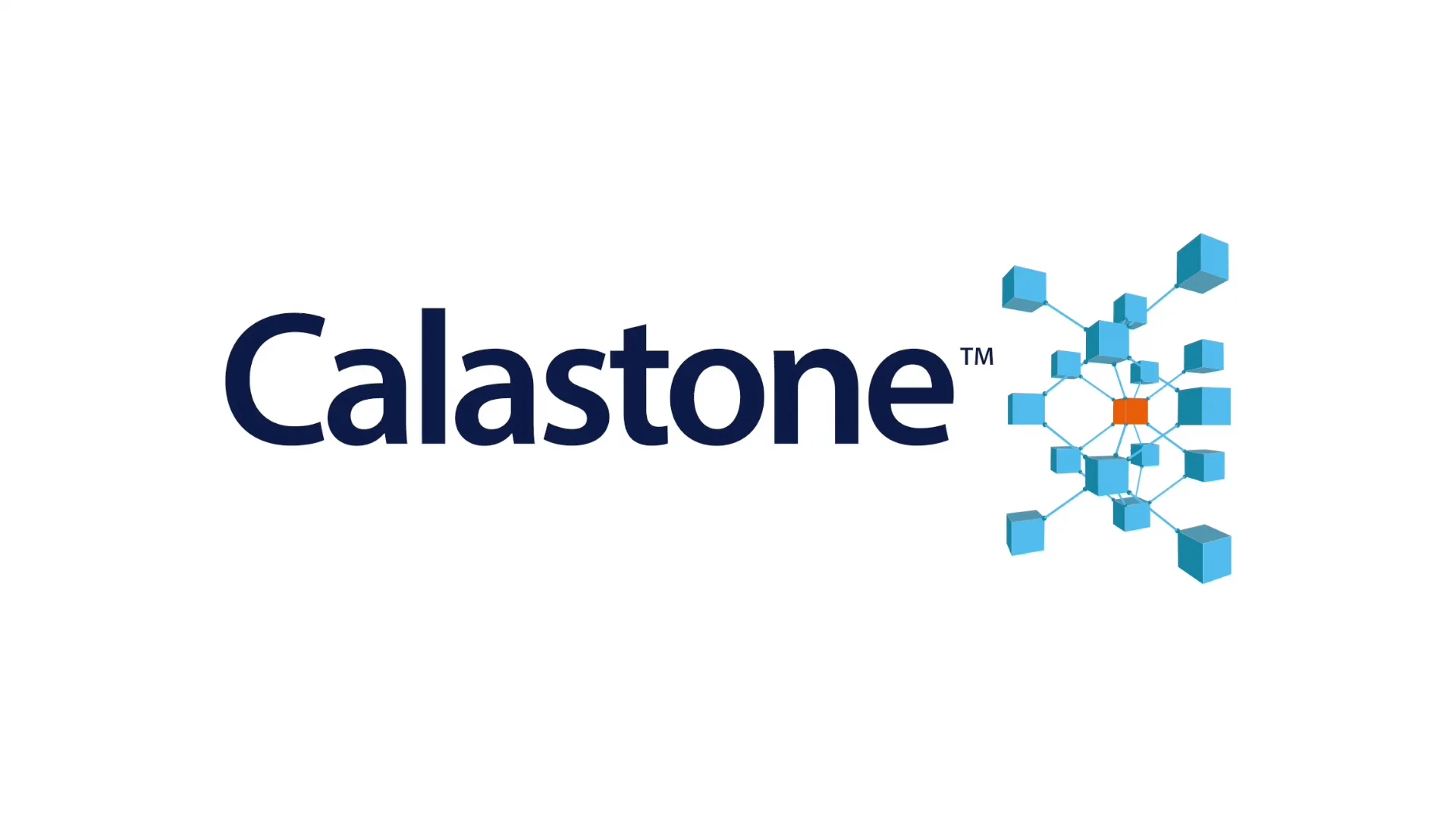 Calastone Team Video