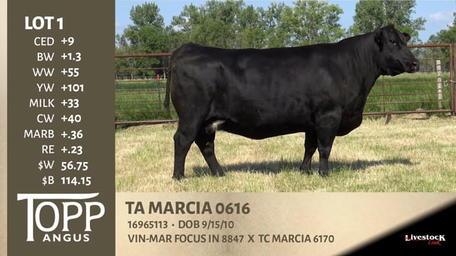 Lot #1 - TA MARCIA 0616
