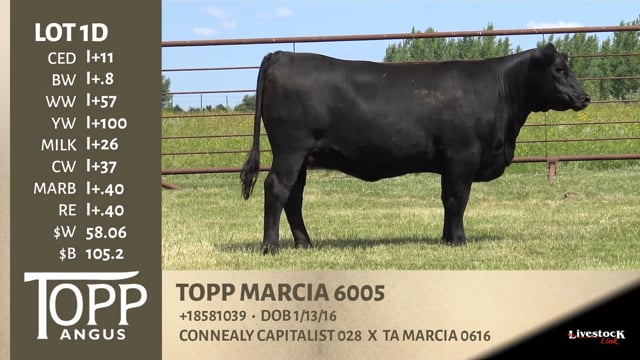 Lot #1D - TOPP MARCIA 6005