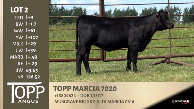 Lot #2 - TOPP MARCIA 7020