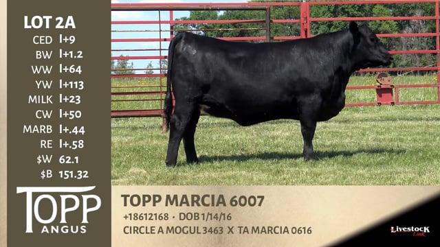 Lot #2A - TOPP MARCIA 6007