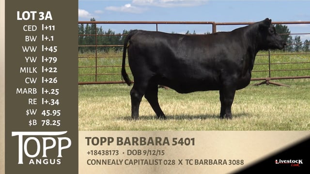 Lot #3A - TOPP BARBARA 5401