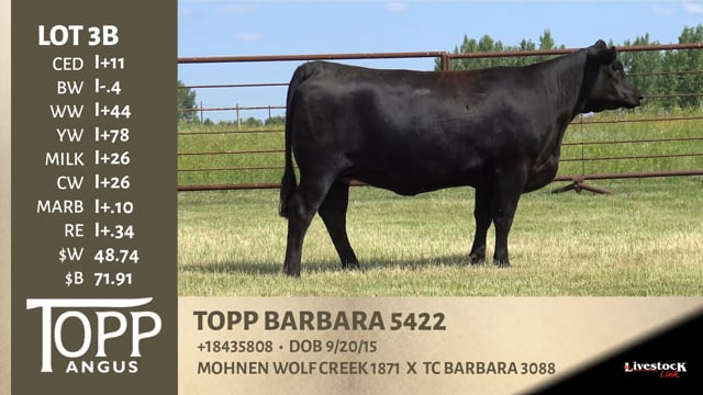 Lot #3B - TOPP BARBARA 5422