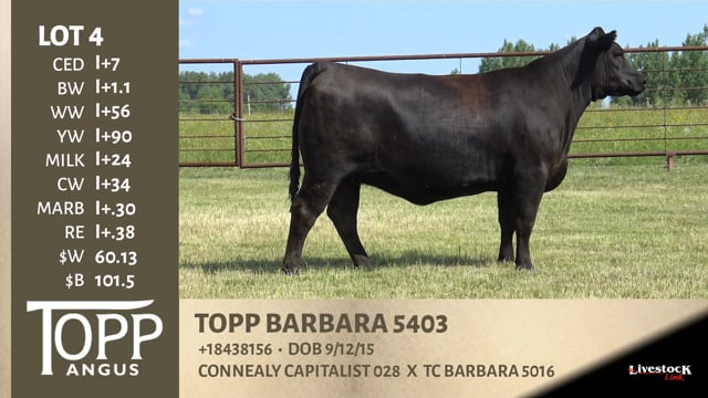 Lot #4 - TOPP BARBARA 5403