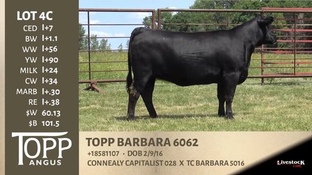 Lot #4C - TOPP BARBARA 6062