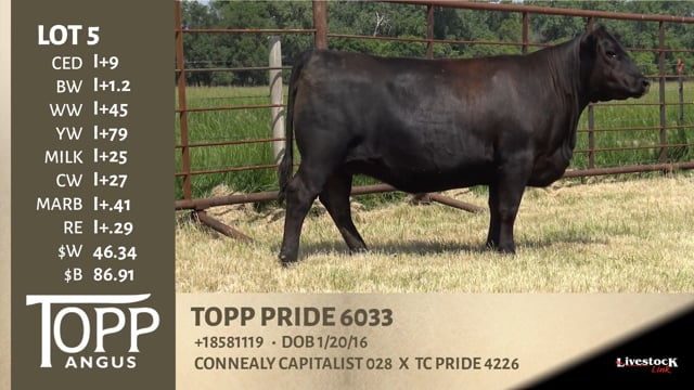 Lot #5 - TOPP PRIDE 6033