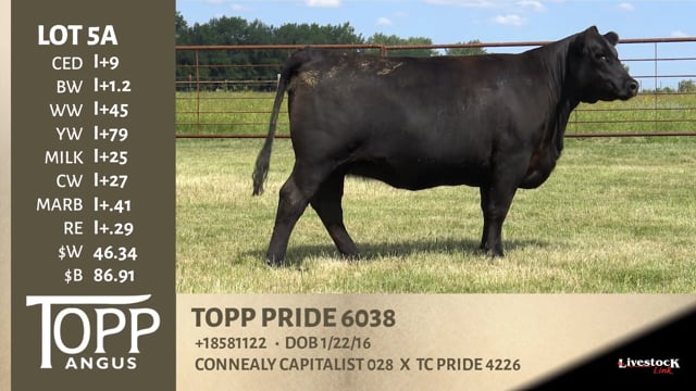 Lot #5A - TOPP PRIE 6038