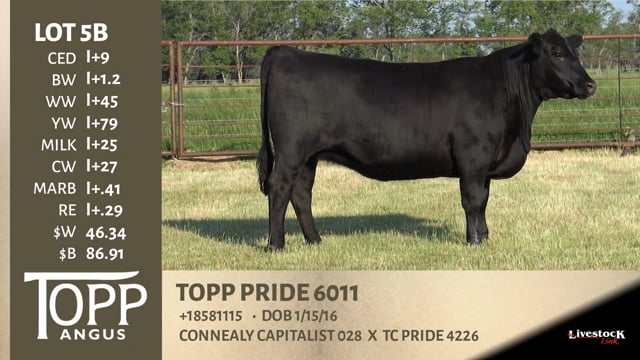 Lot #5B - TOPP PRIDE 6011