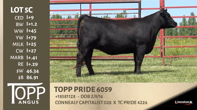 Lot #5C - TOPP PRIDE 6059