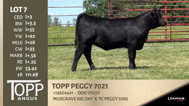 Lot #7 - TOPP PEGGY 7021