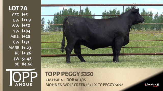 Lot #7A - TOPP PEGGY 5350