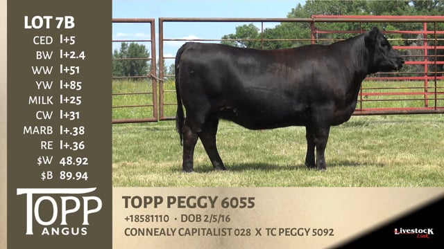 Lot #7B - TOPP PEGGY 6055