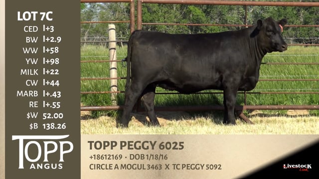 Lot #7C - TOPP PEGGY 6025
