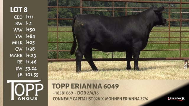 Lot #8 - TOPP ERIANNA 6049