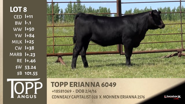 Lot #8A - TOPP ERIANNA 7043