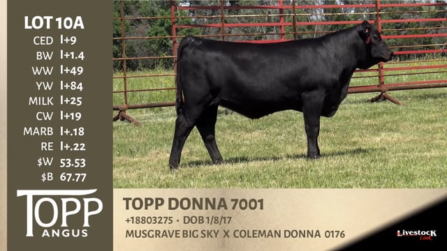 Lot #10A - TOPP DONNA 7001