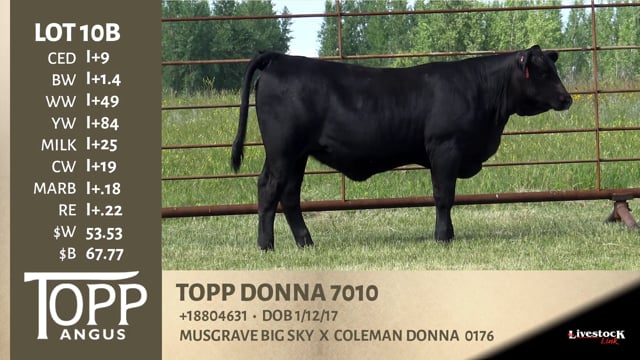 Lot #10B - TOPP DONNA 7010