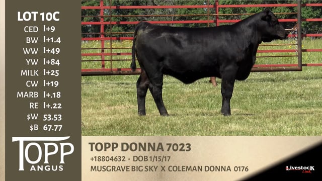 Lot #10C - TOPP DONNA 7023
