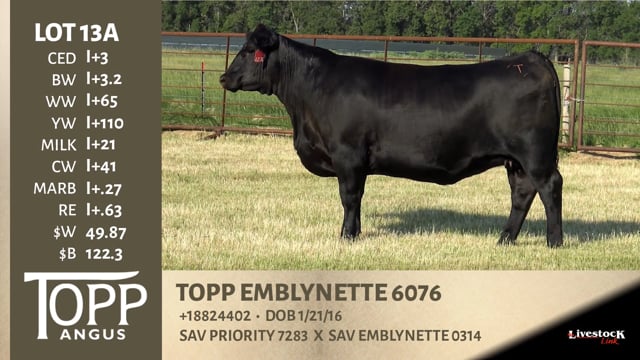 Lot #13A - TOPP EMBLYNETTE 6076