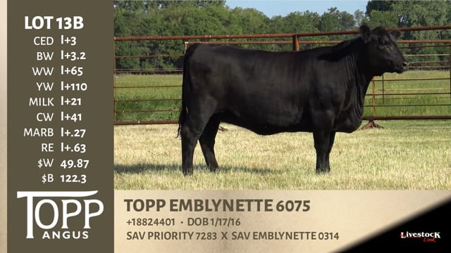 Lot #13B - TOPP EMBLYNETTE 6075