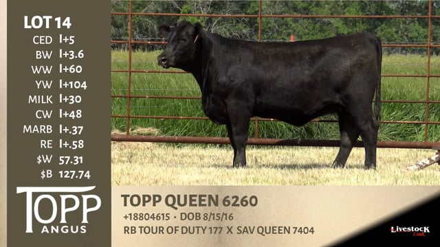 Lot #14 - TOPP QUEEN 6260