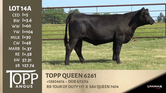 Lot #14A - TOPP QUEEN 6261