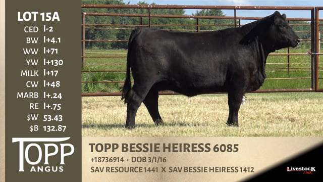 Lot #15A - TOPP BESSIE HEIRESS 6085