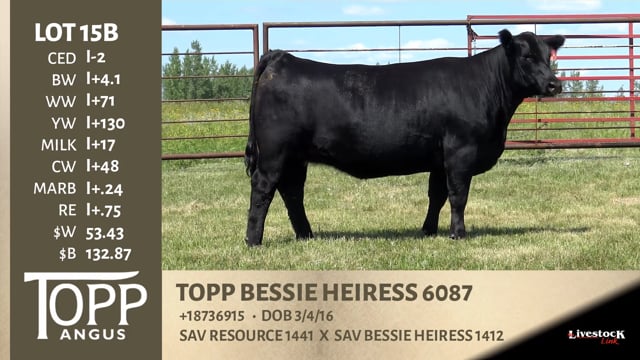 Lot #15B - TOPP BESSIE HEIRESS 6087