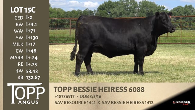 Lot #15C - TOPP BESSIE HEIRESS 6088