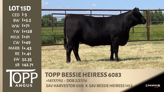 Lot #15D - TOPP BESSIE HEIRESS 6083