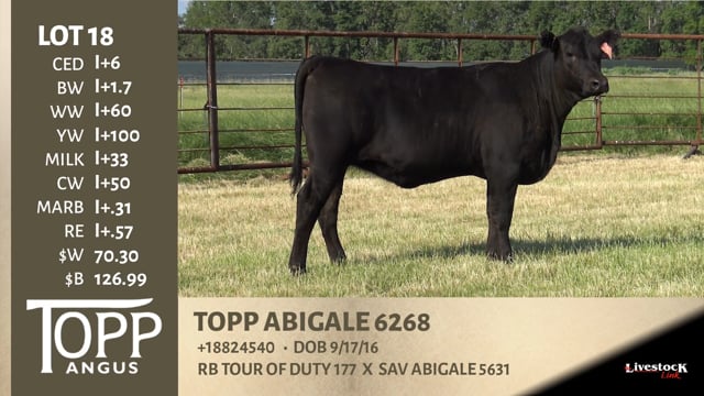 Lot #18 - TOPP ABIGALE 6268