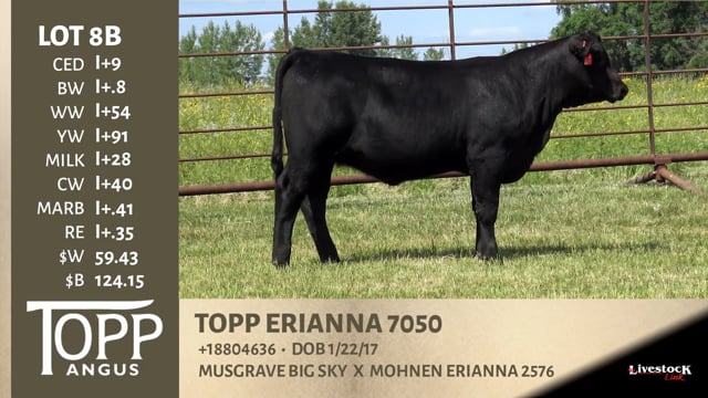 Lot #8B - TOPP ERIANNA 7050