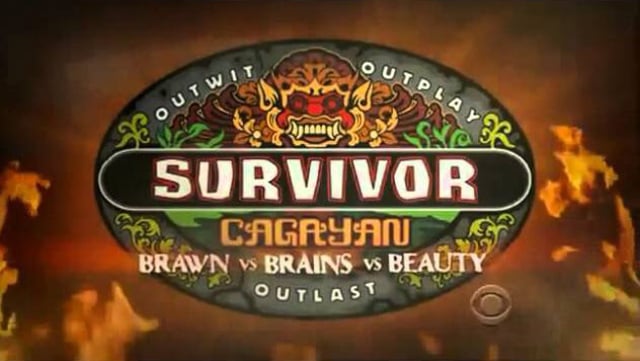 Survivor Brawn, Brains, Beauty
