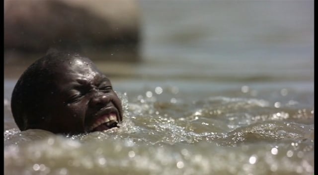 Croc Attack