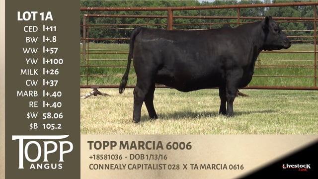 Lot #1A - TOPP MARCIA 6006