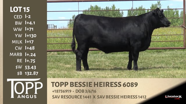 Lot #15 - TOPP BESSIE HEIRESS 6089