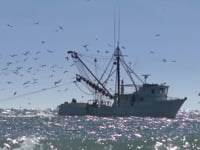 Rules of the Road o Mga patakaran sa daan