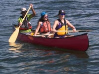 डोंगी कहानी