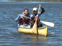 पीएफडी शैलियाँ