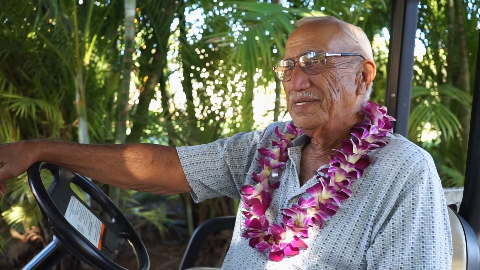 Coconut Rhinoceros Beetles in Hawai'i - A Community Effort to Control it