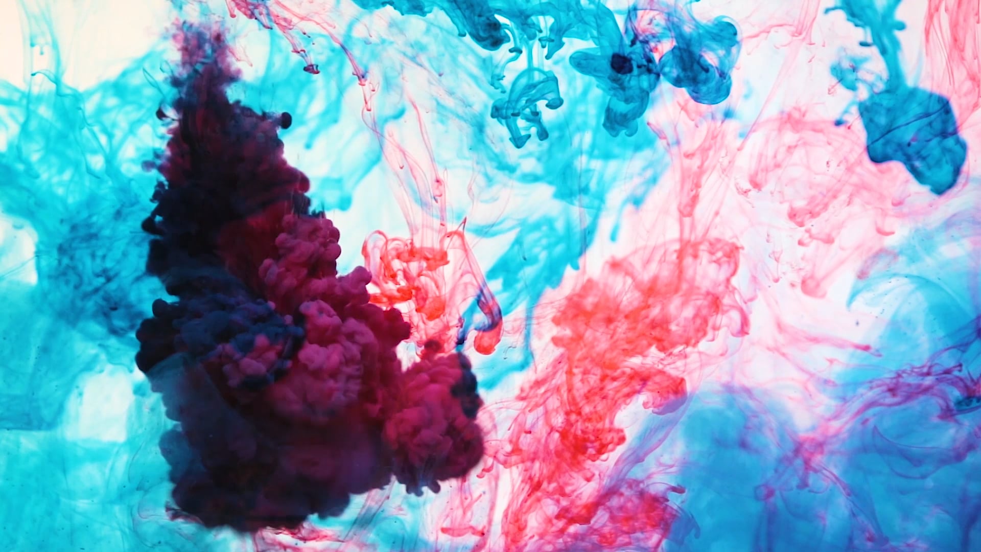 Moses Rubin - Everybody´s Lover (Official Video)