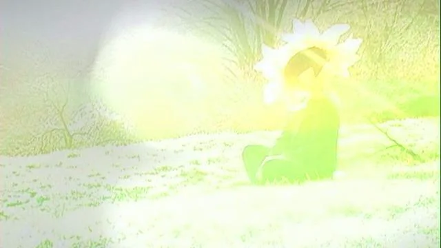 Rabbit on Vimeo