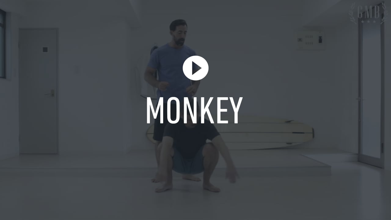Elements - Monkey - with Andy -  Explain
